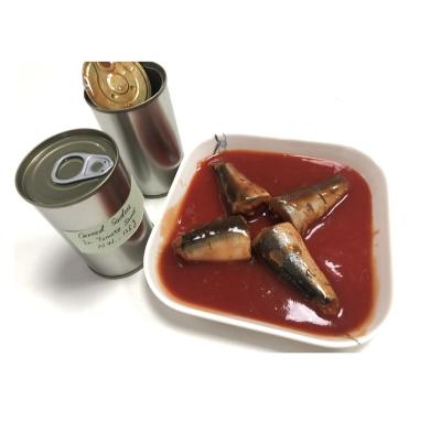 China Canned frozen canned mackerel in tomato sauce with all size for sale