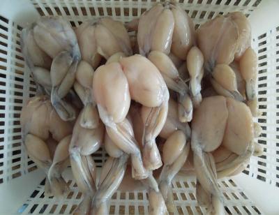 China High Quality Jellied Bull Frog Legs For Sale for sale