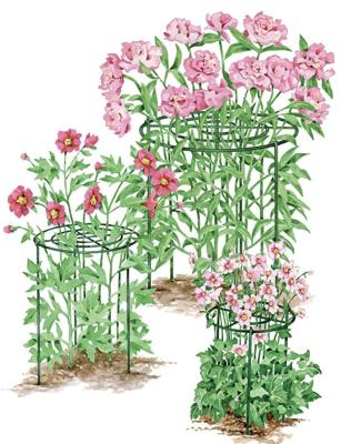 China Eco-friendly plant trellis support for sale