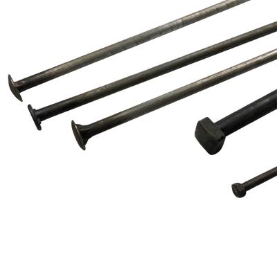 China A307 Stainless Steel Head Mushroom Seed Bolts Galvanized Carbon Steel Long Bolt Timber Bolt for sale