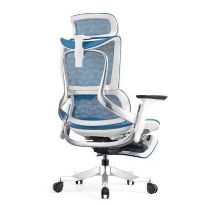 China Full Mesh Office Chair (Height) Innovative Ergonomic Adjustable Reclining Chair 2021 Lumbar Support Reclining Head and Nect Rest Support for sale