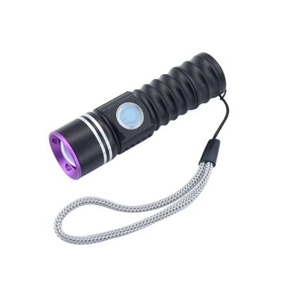 China Focus New Design USB Direct Charge Led Torch 300LM XPE Led Chip Flashlight With Inner Battery for sale