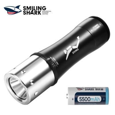 China Q16 Shark Black Plug Camping Smile Bright Diving Light, IP8X Waterproof High Quality Torch With Easy Switch for sale