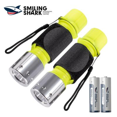 China Q14 2PCS Camping Smiling Shark Diving Flashlight Lighting with Wristband, IPX8 Waterproof Underwater LED Handless Lights for sale