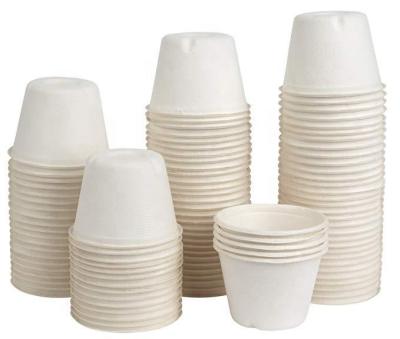 China Disposable Accept Customization Offering Bagasse Bowl 20 Oz Bowl Capacity for sale