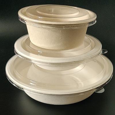 China China Supplier Disposable Sugarcane Fiber Bagasse Paper Rolls Takeout Food Bowl for sale