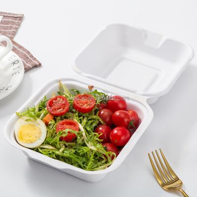 China Eco Friendly Disposable Fast Food Pulp Container Paper Lunch Tableware Biodegradable Clamshell for sale