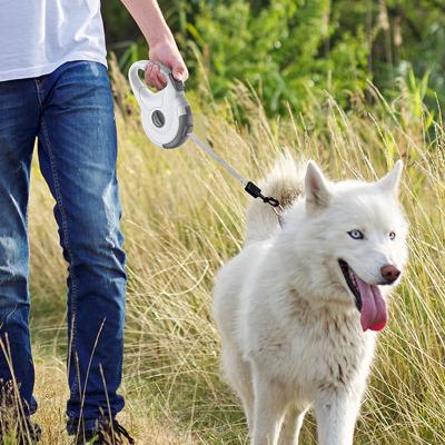 China Durable Swivel Luxury Rope Collar Carabiner Dog Leash Heavy Duty Leash Set for sale