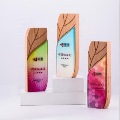 China China 2019 Custom Cheap Glass Trophy Award Shield Crystal Trophy Award Trophy for sale