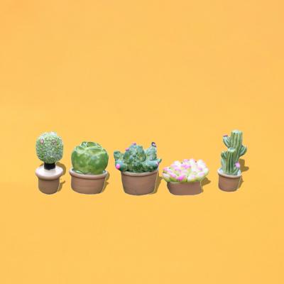 China / 5 styles Greenhouse Miniatures Mini Cactus Succulents Potted Bonsai Arificial Resin Craft Doll Room Decoraion Greenhouse Miniatures for sale