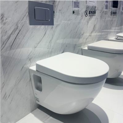 China Toilet Hung Toilet Double-flow Sanitary Ware Rimless Toilet One Piece Hidden Cistern Wall Mounted Wc for sale