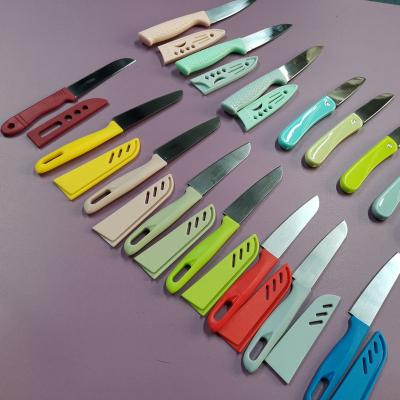 China Custom Stainless Steel Fruit Skin Logo Stainless Steel Paring Knife Peeling Folding Pocket Knives for sale