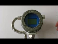 Vortex Flow Meter