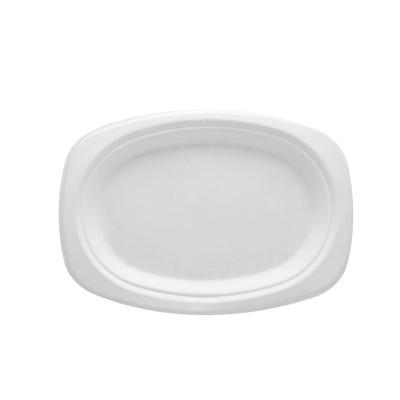 China Disposable Sugarcane Bagasse Plates Disposable Disposable Tableware Plastic Food Container Bagasse Tray for sale