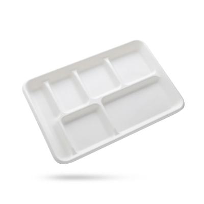 China Disposable Rectangular Sugar Cane Pulp Fast Food 6 Grid Compostable Biodegradable Student Tray for sale