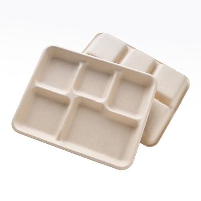 China 5 Compartment Disposable Wholesale Restaurant Takeout Container Shallow Store for sale