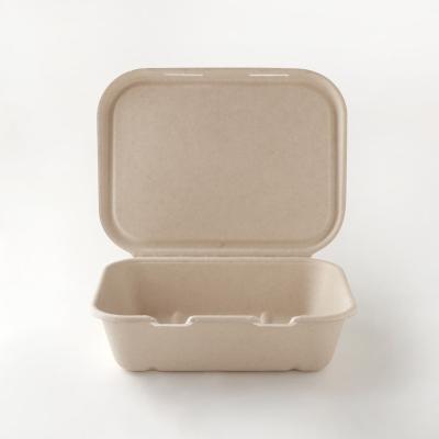 China Sugar Cane Bagasse Clamshell Microwave Disposable Catering Lunch Box Eco-friendly Microwavable Lunch Box for sale