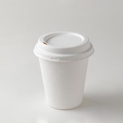 China Eco-friendly Disposable Meal Box 8 Ounce Sugarcane Disposable Bagasse Cup Takeaway Coffee Cups With Lid for sale