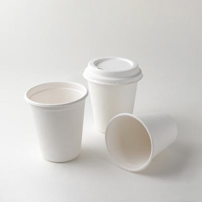 China Eco-friendly Disposable Meal Box 12oz Sugar Cane Disposable Bagasse Cup Takeaway Coffee Cups With Lid for sale