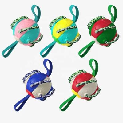 China Newest Sustainable Ball Throwing Training Dog Frisbeed Toys Funny Pet Interactive Motion Toys for sale