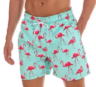 China 3D Print Plus Size Beach Shorts Cartoon Printed Mens Surf Trunks Nontoxic for sale