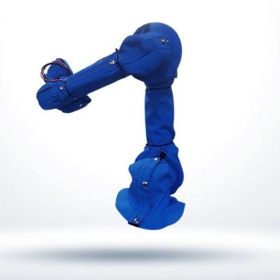 China Roboworld Protective Suits Pick And Place Arm , Blue Waterproof Robotic Arm for sale