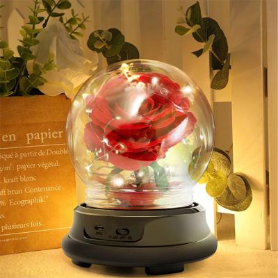 China Simple Glass Cover Rose Lamp Decoration Gift LED Lights Ornament Christmas Gift Artificial Flower Light for sale