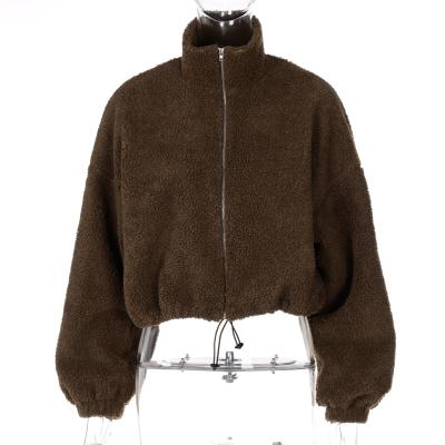 China Anti-wrinkle Lagerfe Velvet Fur Zipper Sleeve Sweatshirt Long 2021 Autumn Casual Women Loose Autumn Winter Wholesale Casual Clothes Upper Streetwear for sale