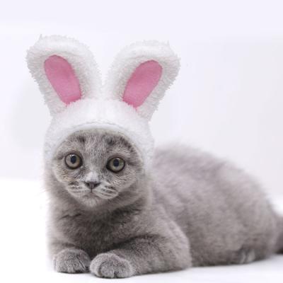 China Viable Funny Rabbit Dog Cat Hat Bunny Ear Shape Pet Ear Shaped Hats for sale