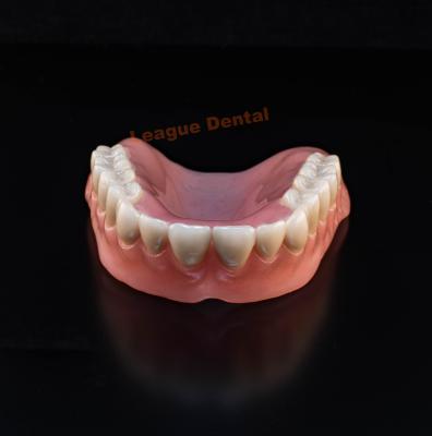 China Comfortable U Shaped Acrylic Resin Partial Denture With Wrought Wire Clasps for sale