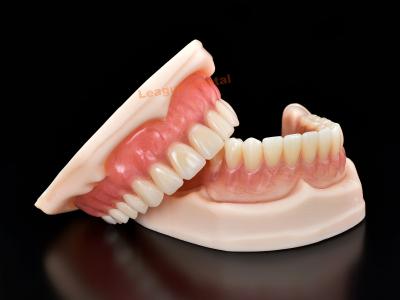 Cina Dentiere in acrilico completo per una maggiore conservazione e comfort in vendita