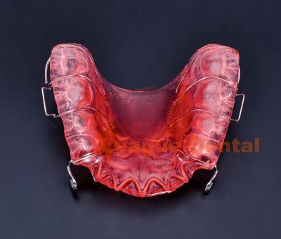 China Acrílico de acero inoxidable Hawley retenedor Mantener la alineación de los dientes Ajuste Hawley retenedor en venta