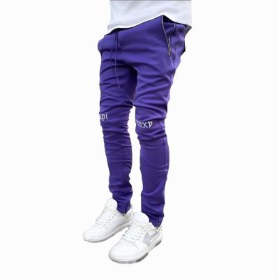 China Anti-Wrinkle Side Zipper Pocket Cargo Jogger Trackpants Men Office Pants Purple Cotton Stacked Cargo Pants Men for sale