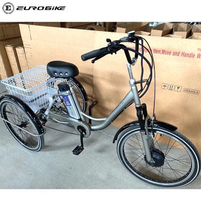 China Eurobike Price Carbon Steel Large Tricycle Three Wheels Cargo Electric Bike eBike Big Battery 15ah 500W 800W Motor Power for sale