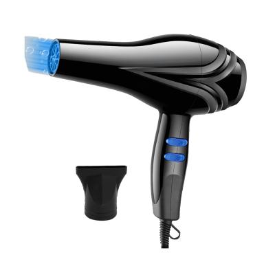 China 2021 New Design Hair Blow Dryers Ionic Professional Salon Household Tools Ionic Portable Hair Dryer for sale