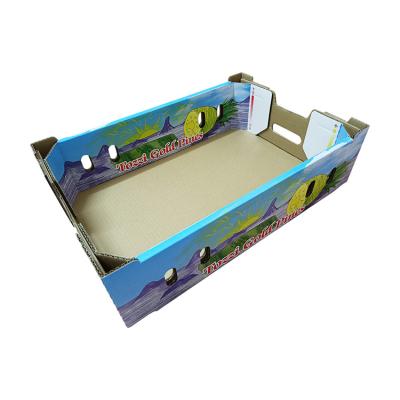 China China Wholesale Recyclable Luxury Fresh Fruit Corrugated Shipping Carton Packaging for sale