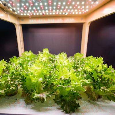 China Seed Starting Bestselling Mushroom Cob Table Top 150W WIfi Aluminum Touch Screen Panel LED Grow Light for sale