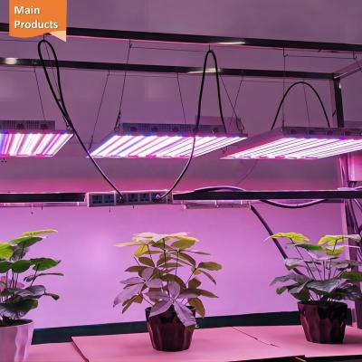 China Seed Starting 600W IR 6500K Full Spectrum 4ftx4ft Panel 5 Channel Samsung LED Chip Homemade Plant Panel UV LED Growing Lights for sale