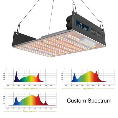 China Seed Starting 800W Lm301B Led Grow Light Factory Price Full Spectrum Grow Light With Cree Cob Red Led Grow Lights for sale