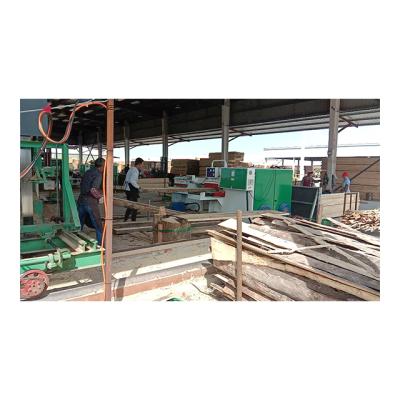 China VERTICAL Production Large Quantity Small Sawmill Cost Pine Log Production Line Equipment For Processing Construction Timber for sale