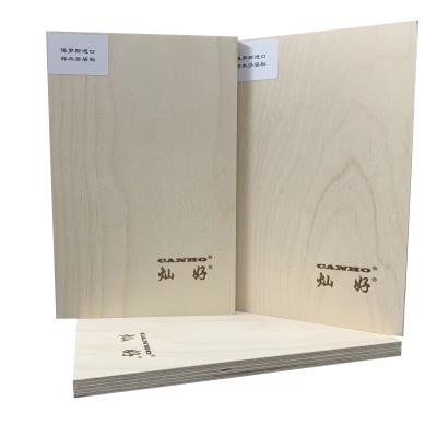 China EUROPEAN Flat Die Laser Cut Prefinished Birch Plywood 16Mm E1 for sale