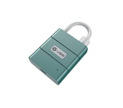 China Smart Security Fingerprint Padlock Quick Open Smart Metal Usb Rechargeable Keyless Door Lock for sale