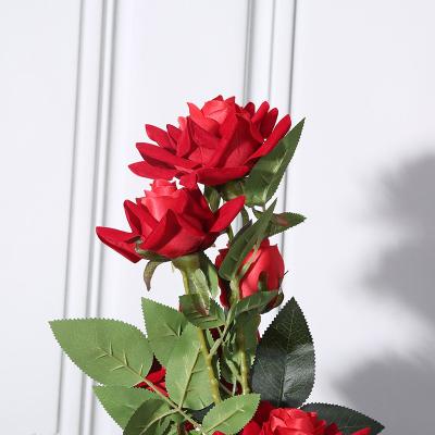 China Top 5 Touch Artificial Hot Sales Natural Pilou Rose For Wedding Decorative for sale