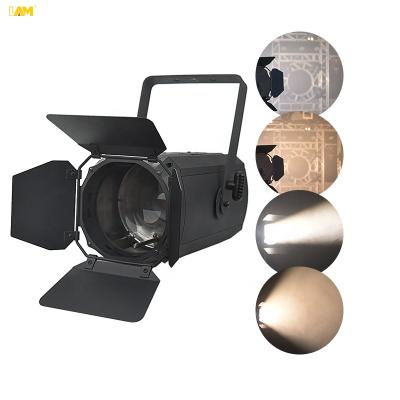 China Professional High Brightness Par Light Theater 300w Led Cob Zoom Warm White Or Cold White Stage Lighting for sale