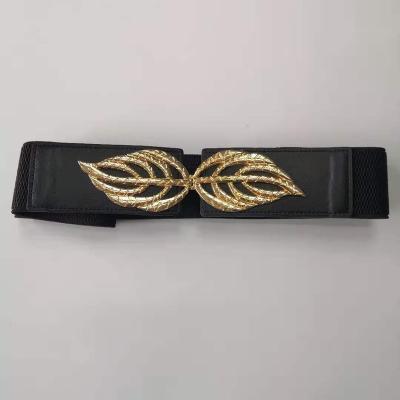 China Women Belt Elegant Women Fashion Elastic Popular Wholesale Black Belt for sale