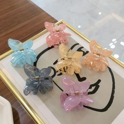 China Hair Claw Clips  DIANXIANG 2022 Korean trumpet hair catch girl ball hair accessories translucent butterfly hair claw clips for sale