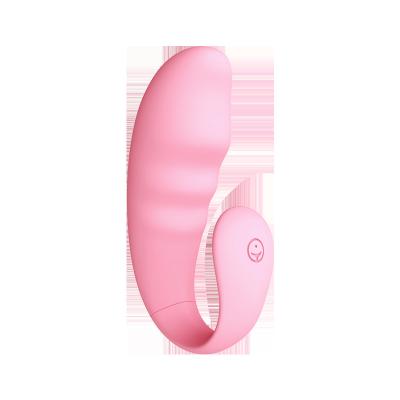 China Hot Selling Waterproof Remote Control Adult Rechargeable Sex Toys Vibrator For Women 43 for sale