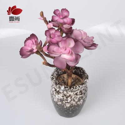 China B243 Minimalist Artificial Succulent Plants Textured Artificial Succulent Picks Unpotted for sale