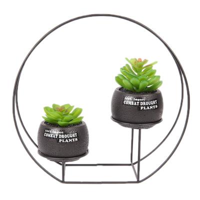 China Eco-friendly Wholesale Artificial Succulent Bonsai, Iron Frame Combination Pot Artificial Succulent Plants ES0253 for sale