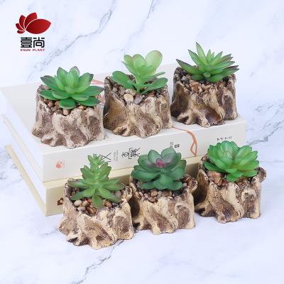 China Minimalist Artificial Succulent Plants Potted In Cement Tray Succulents For Home Decor ES1115-1 for sale